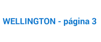 Logotipo marca WELLINGTON - página 3